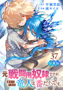 元戦闘用奴隷ですが、助けてくれた竜人は番だそうです。【分冊版】37 電子書籍版