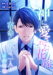 神に愛された花嫁~宿命に抗う二人~ 辰樹編 vol.12 電子書籍版