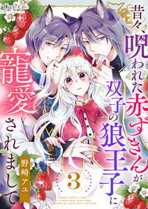 昔々、呪われた赤ずきんが双子の狼王子に寵愛されまして(3) 電子書籍版