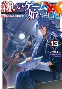 新しいゲーム始めました。～使命もないのに最強です?～13【電子書籍限定書き下ろしSS付き】