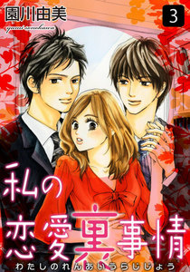 私の恋愛裏事情 3巻 電子書籍版