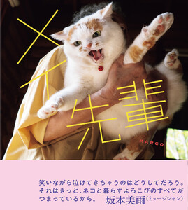 メイ先輩 電子書籍版