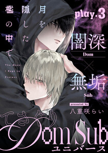 月を隠した檻の中で (3)