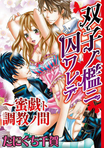 双子ノ檻ニ囚ワレテ~蜜戯ト調教ノ間