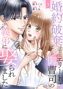 婚約破棄されたらエリート御曹司の義弟に娶られました (3) 電子書籍版