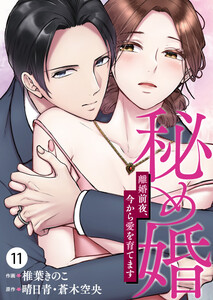 秘め婚 離婚前夜、今から愛を育てます 第11話 電子書籍版