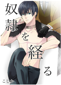 奴隷を経る3 電子書籍版