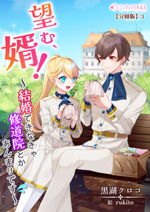 望む、婿!～結婚できなきゃ修道院とかあんまりです～【分冊版】3 電子書籍版