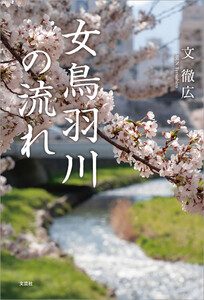 女鳥羽川の流れ 電子書籍版