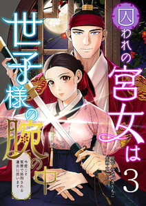 囚われの宮女は世子様の腕の中 第3話 電子書籍版