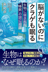 脳がないのにクラゲも眠る 生物に宿された「睡眠」の謎に迫る