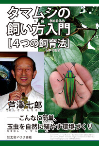 タマムシの飼い方入門[4つの飼育法]――こんなに簡単、玉虫を自然に殖やす環境づくり