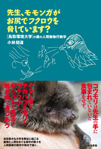 先生、モモンガがお尻でフクロウを脅しています?