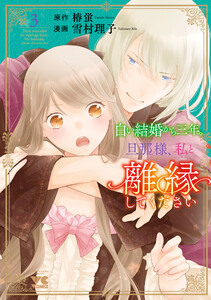 白い結婚から三年。旦那様、私と離縁してください (3)