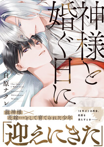 神様と婚ぐ日に【電子限定描き下ろし漫画付き】