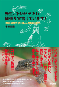 先生、キジがヤギに縄張り宣言しています!