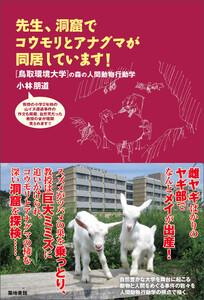先生、洞窟でコウモリとアナグマが同居しています!