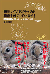 先生、イソギンチャクが腹痛を起こしています!