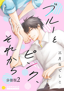 ブルーとピンク、それから(分冊版2) 電子書籍版