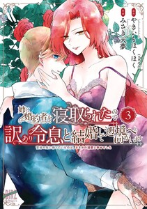 姉に婚約者を寝取られたので訳あり令息と結婚して辺境へと向かいます (3)～苦労の先に待っていたのは、まさかの溺愛と幸せでした～ 【電子限定おまけ付き】