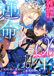 α王の運命～王妃候補の護衛のはずが王の番になりました～ (14)