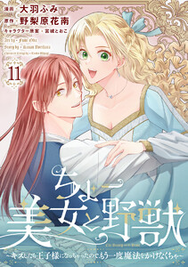 ちょー美女と野獣～キスしたら王子様になっちゃったので、もう一度魔法をかけなくちゃ～ (11)