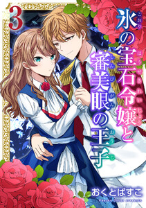 氷の宝石令嬢と審美眼の王子 3巻 電子書籍版