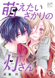 萌えたいさかりの灯さん (3)