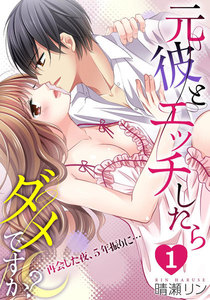 元彼とエッチしたらダメですか?~再会した夜、5年振りに…~