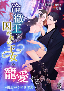 冷徹王は囚われの王女を寵愛する ～雨上がりにさす光～(3) 電子書籍版