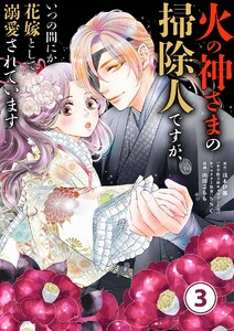 火の神さまの掃除人ですが、いつの間にか花嫁として溺愛されています【単話】 (3) 電子書籍版
