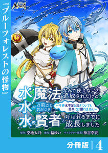 水魔法なんて使えないと追放されたけど、水が万能だと気がつき水の賢者と呼ばれるまでに成長しました～今更水不足と泣きついても簡単には譲れません～【分冊版】4 電子書籍版