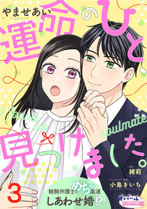 運命のひと、見つけました。 敏腕弁護士とめちゃ高速しあわせ婚!?3 電子書籍版