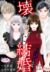 壊された結婚～サレ妻とサイコ悪女の攻防戦～11