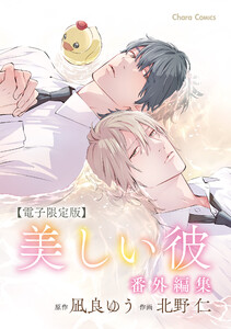 「美しい彼」番外編集【電子限定版】 電子書籍版