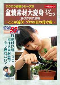 盆栽素材大変身 コツのコツ