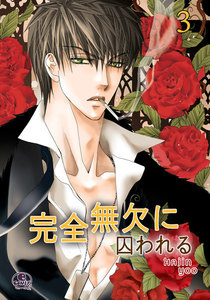 完全無欠に囚われる (3) 電子書籍版