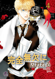 完全無欠に囚われる (4) 電子書籍版