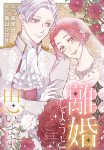 だから、離婚しようと思います (3)【おまけ描き下ろし付き】