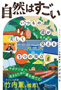自然はすごい いつもの道が美しく見える5つの視点