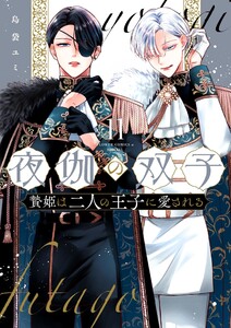 夜伽の双子―贄姫は二人の王子に愛される― (11)