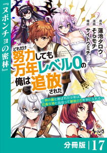 どれだけ努力しても万年レベル0の俺は追放された～神の敵と呼ばれた少年は、社畜女神と出会って最強の力を手に入れる～【分冊版】(ノヴァコミックス)17