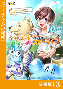 不遇職『テイマー』なせいでパーティーを追放されたので、辺境でスローライフを送ります【分冊版】3 電子書籍版