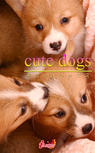 cute dogs34 ウェルシュ・コーギー 電子書籍版