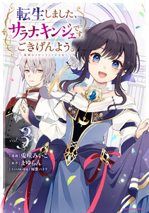 転生しました、サラナ・キンジェです。ごきげんよう。 ～優雅なスローライフで大忙し～3【電子書店共通特典イラスト付】