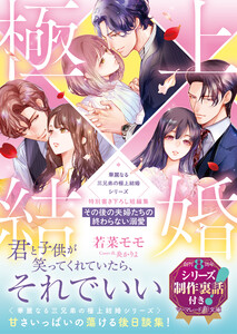 〈華麗なる三兄弟の極上結婚シリーズ〉特別書き下ろし短編集～その後の夫婦たちの終わらない溺愛～【シリーズ制作裏話付き】