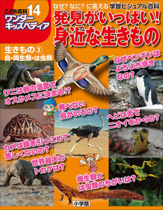 ワンダーキッズペディア14 生きもの3 鳥・両生類・は虫類 ～発見がいっぱい!身近な生きもの～ 電子書籍版