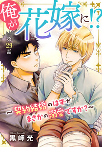 俺が花嫁に!?～契約結婚のはずがまさかの溺愛ですか?～ (29)
