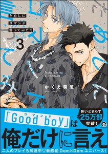 ためしにコマンド言ってみた (3) 【電子限定かきおろし漫画付】