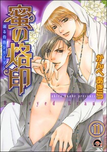 凍る灼熱(分冊版) 【第11話】 電子書籍版